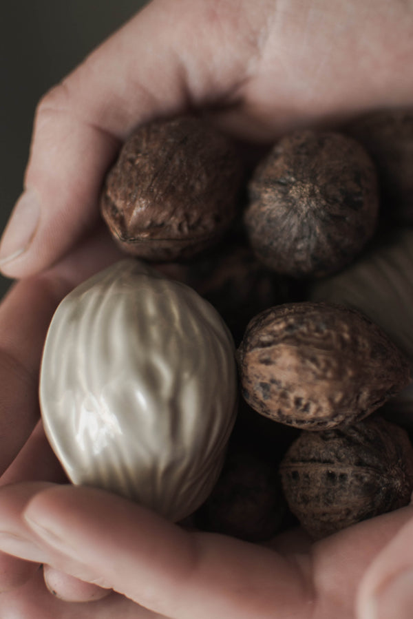 WALNUT - HANGING / SHINY SAND